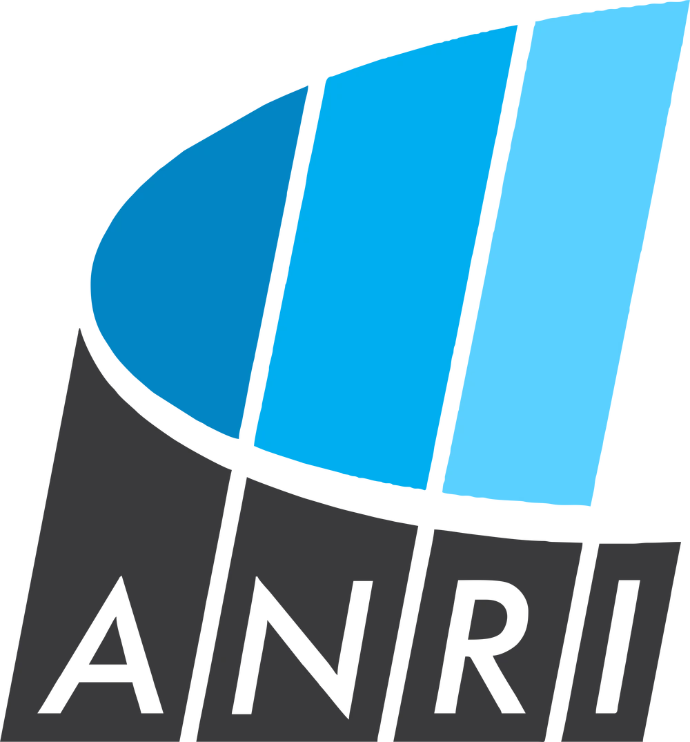 Logo ANRI